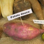 Patate douce