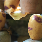 Pommes de terre Blue Belle