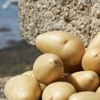 Pommes de terre Princesse Amandine®