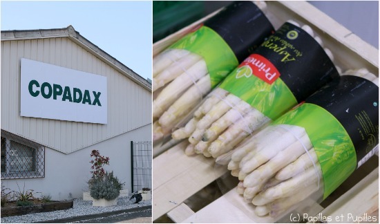 Chez Copadax Chez Copadax