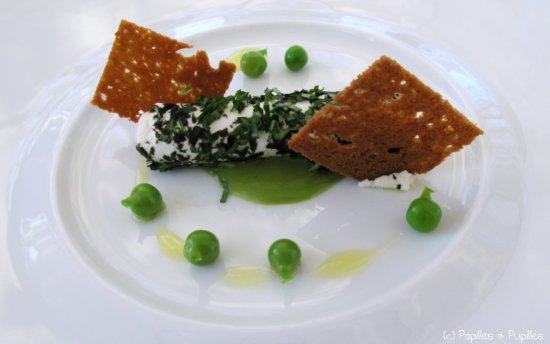 Fromage de chèvre au basilic Fromage de chèvre au basilic