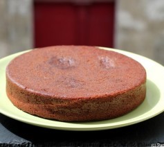 Gâteau au chocolat sans gluten