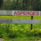 Asperges ©jaydot - CC BY-NC-SA 2.0 Asperges ©jaydot - CC BY-NC-SA 2.0