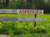 Asperges : comment les choisir, comment les cuire