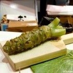 Racine de wasabi et râpe en peau de requin