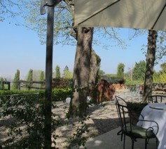 Vue de la terrasse du Saint James