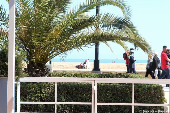 Vue depuis la salle de restaurant de la Pepica Vue depuis la salle de restaurant de la Pepica