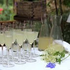 Sirop de fleurs de sureau