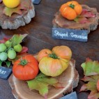 Tomates Château de la Bourdaisière