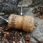 Bouchon de Champagne ©lcuy2-jenn-CC-BY-NC-SA-20
