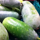 Courge Bidao - Courge cireuse