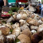 Cèpes