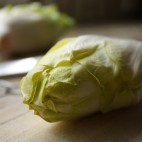 Endives ©VanDammeMaarten licence CC BY 2.0