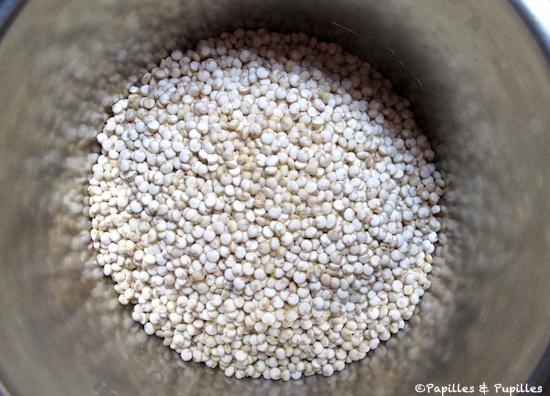 Quinoa