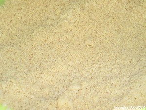 Couscous Image Papilles et Pupilles - Couscous