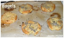 Images Papilles et Pupilles - Bagels