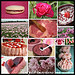 Mosaique Rose de mai - 25