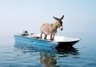 Je me balade ... voyages et balades