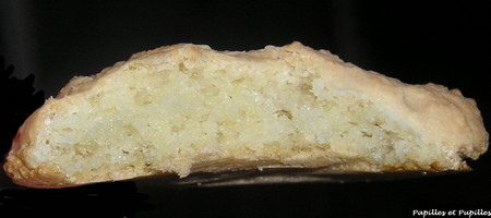 Macarons Image Papilles et Pupilles - macarons