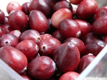 cranberries