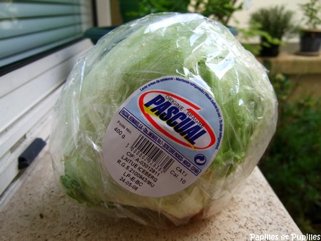 laitue iceberg