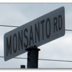 Monsanto Monsanto