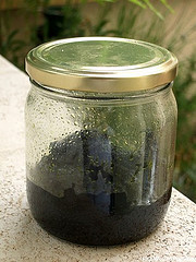 pâte de pistaches