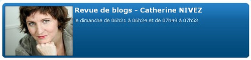 Chich taouk Brochettes de poulet aux épices Revue de blogs - Cathy Nivez