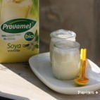 Yaourts au lait de soja vanillé