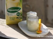 1acccc147ca3ed7545df3fa70f1901fd Yaourts au lait de soja vanillé