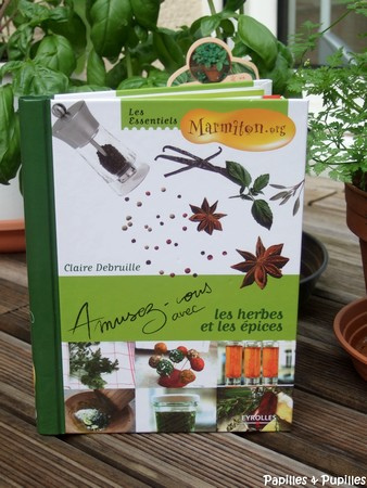Amusez-vous avec les herbes et les épices - Claire Debruille