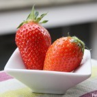 Fraises