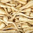 Panais