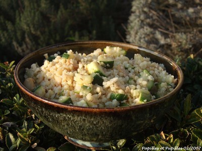 Céréales gourmandes aux dés de courgettes