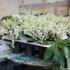 Bouquets de muguet