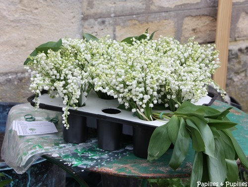 Muguet