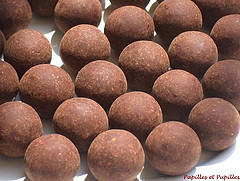 Xocopili