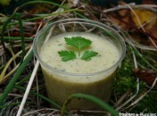 3409f4cad11b872d23d7c512a71d52a8 Soupe aux herbes