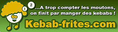 Kebab-frites