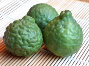 3c93fe63ee9259cca2d08d47d5d0ef30 Cumbava – Kefir lime