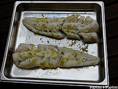 Filets de cabillaud aux agrumes Filets de cabillaud aux agrumes