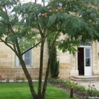 Cordeillan Bages Cordeillan Bages