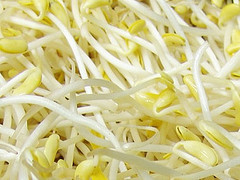germes de soja