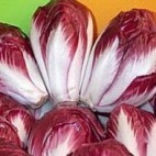 Carmine – Salade Carmine