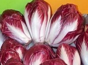 Carmine – Salade Carmine Carmine – Salade Carmine
