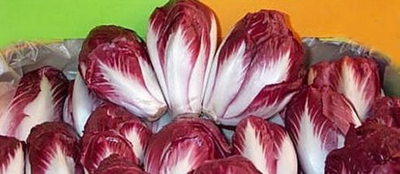 Image Papilles et Pupilles - Carmine - Salade carmine