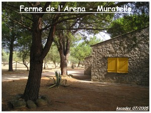 Corse - Muratello