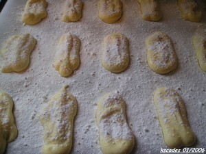Biscuits à la cuiller