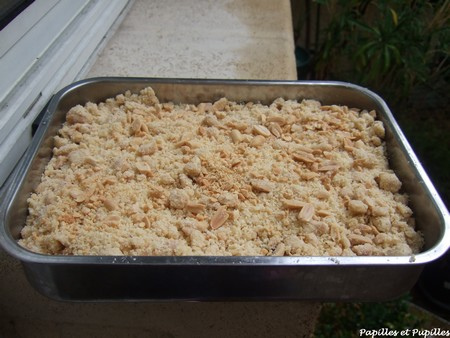 Crumble de prunes aux cacahuètes et au piment de Cayenne crumble aux prunes, aux cacahuètes et au piment de Cayenne