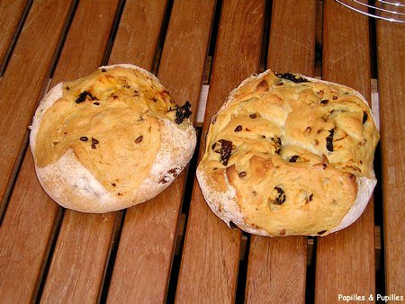 Image Papilles et Pupilles - Pains aux tomates séchées et aux pignons de pin